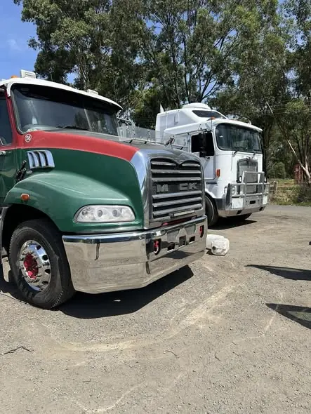 Truck polishing job by Star Metal Polishing, 19 Mar 2025